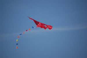 1200px-Cerf_volant_rouge1